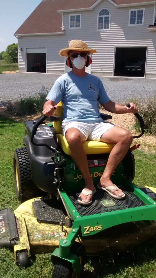 Voilier ou tondeuse?