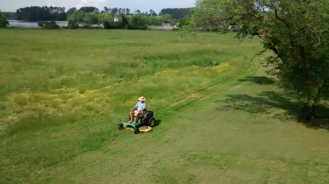 IMG_20150518_155131465