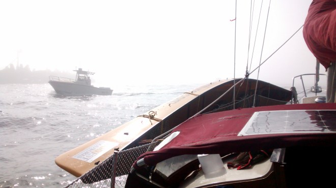 IMG_20150530_084325287