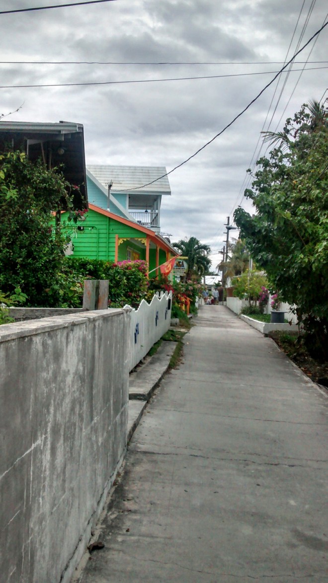 IMG_20160305_103703986_HDR~2