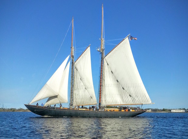 Norfolk revu et&nbsp;corrigé