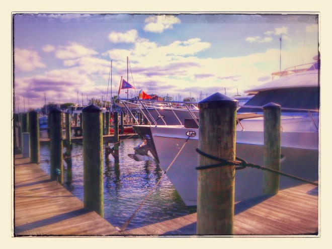 IMG_20141019_102608-EFFECTS