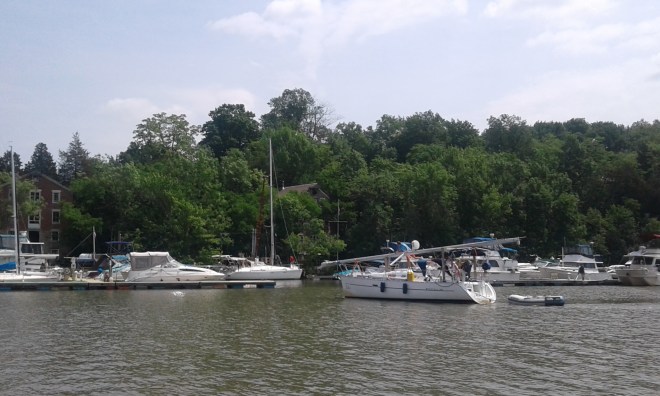 clone tag: -210000516787509702