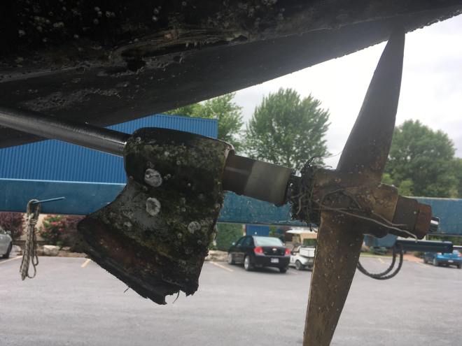 received_10155803375357426